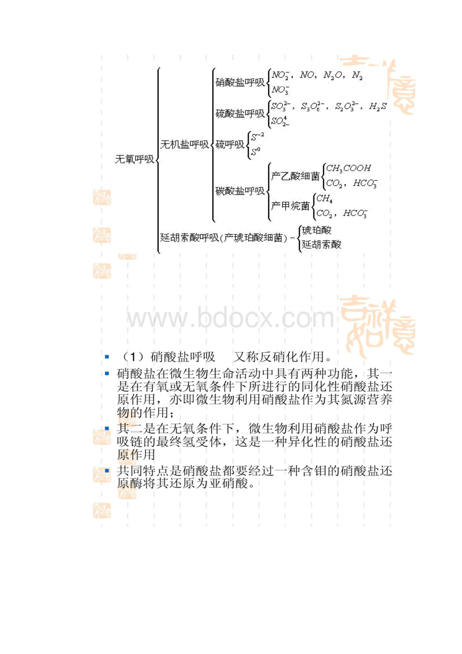 第四节微生物的代谢调控与发酵生产精.docx_第2页