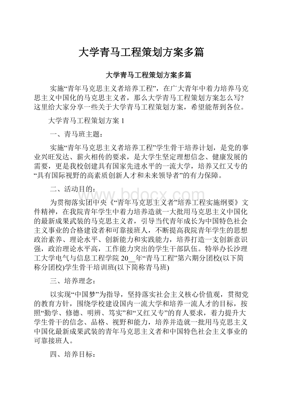 大学青马工程策划方案多篇.docx