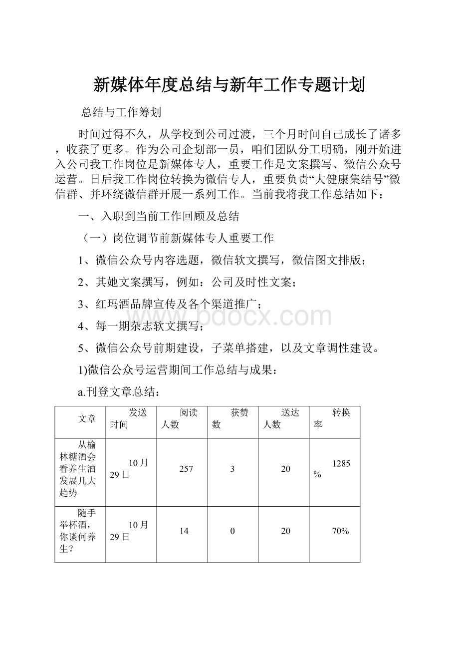 新媒体年度总结与新年工作专题计划.docx