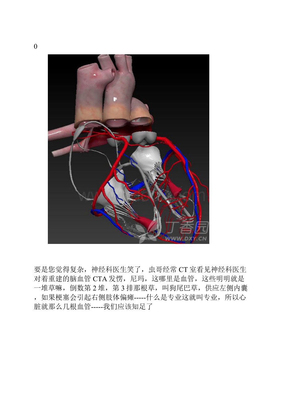 虫哥说图系1.docx_第2页