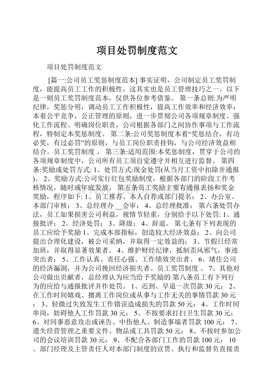 项目处罚制度范文Word下载.docx_第1页