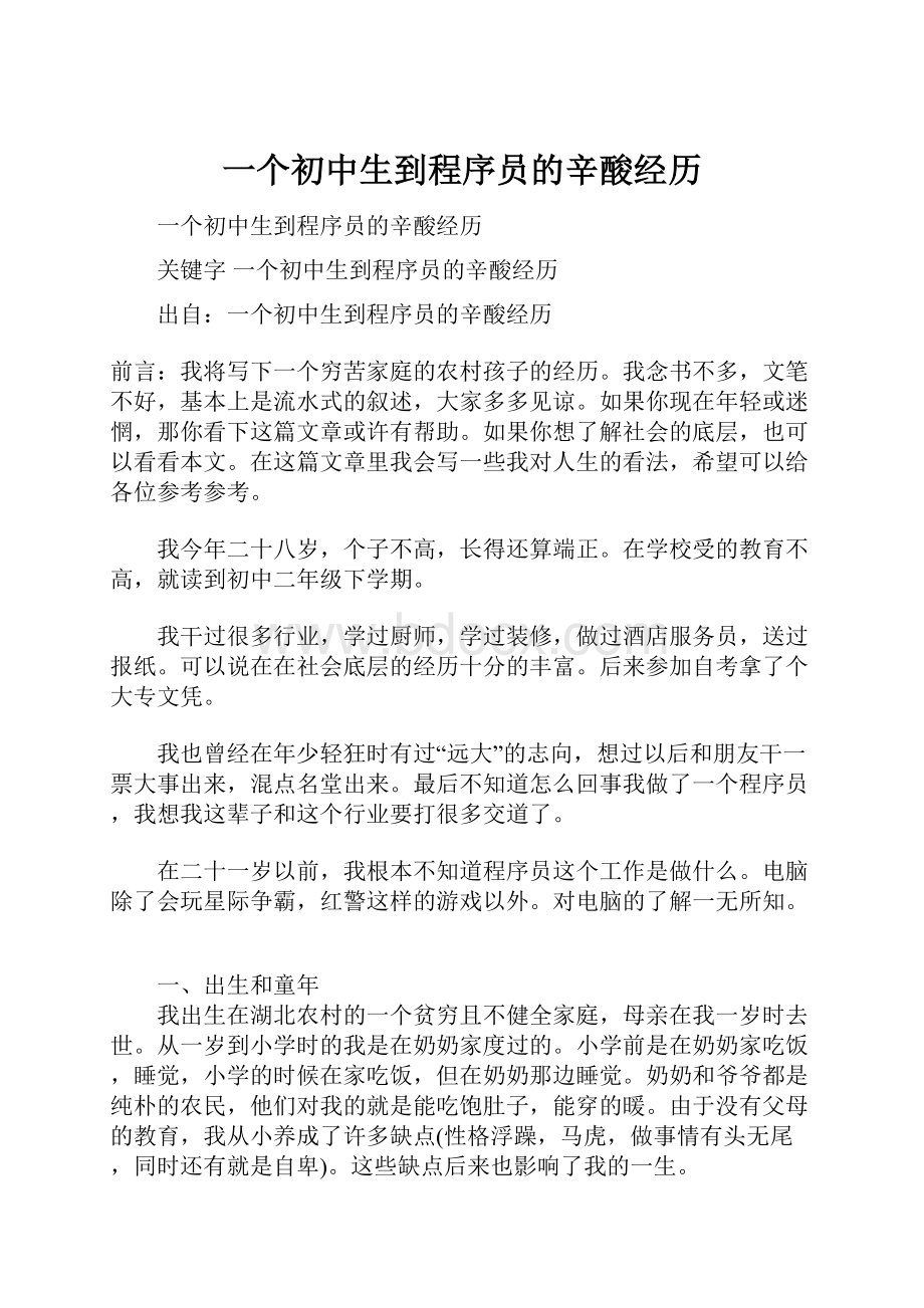 一个初中生到程序员的辛酸经历.docx_第1页