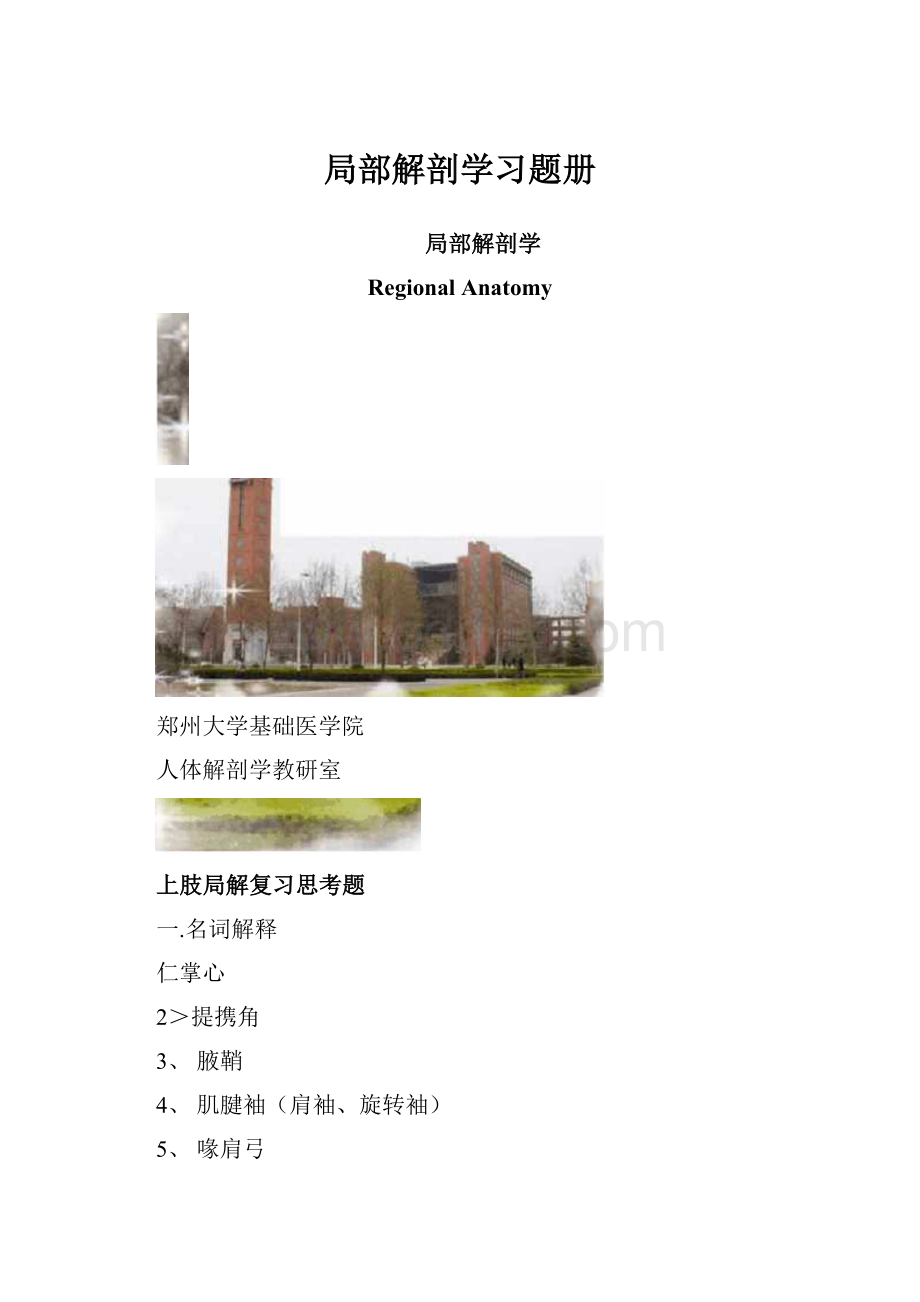 局部解剖学习题册.docx_第1页