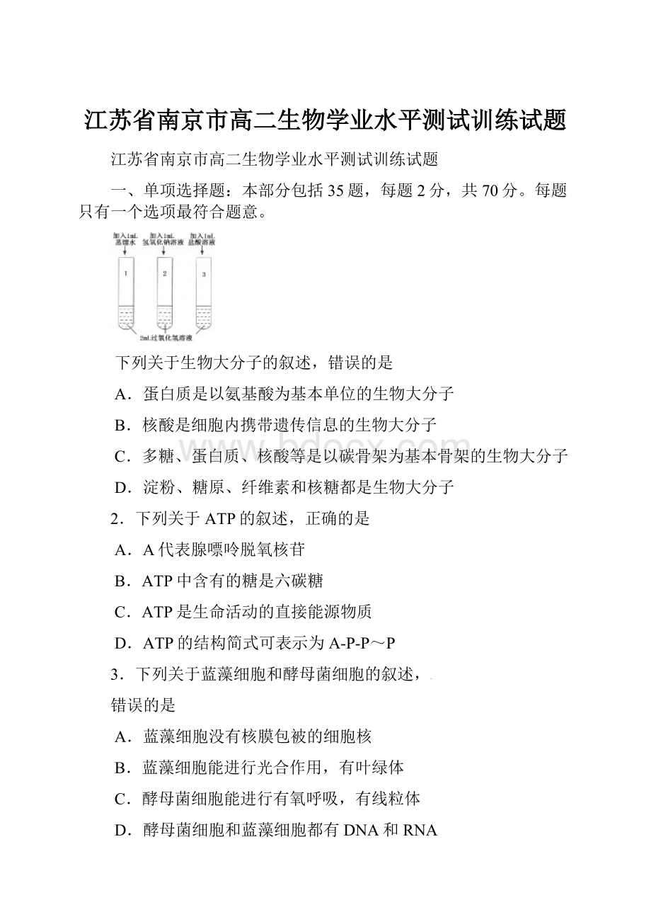 江苏省南京市高二生物学业水平测试训练试题Word文件下载.docx