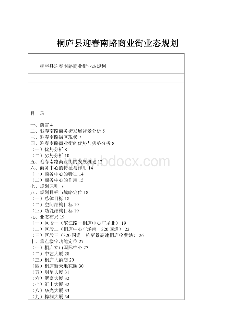 桐庐县迎春南路商业街业态规划.docx