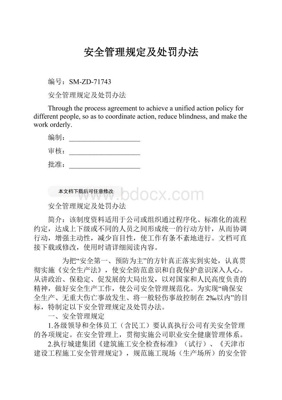 安全管理规定及处罚办法Word格式文档下载.docx