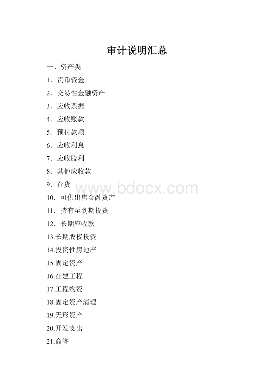 审计说明汇总.docx