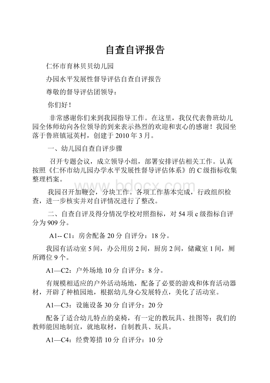 自查自评报告.docx_第1页