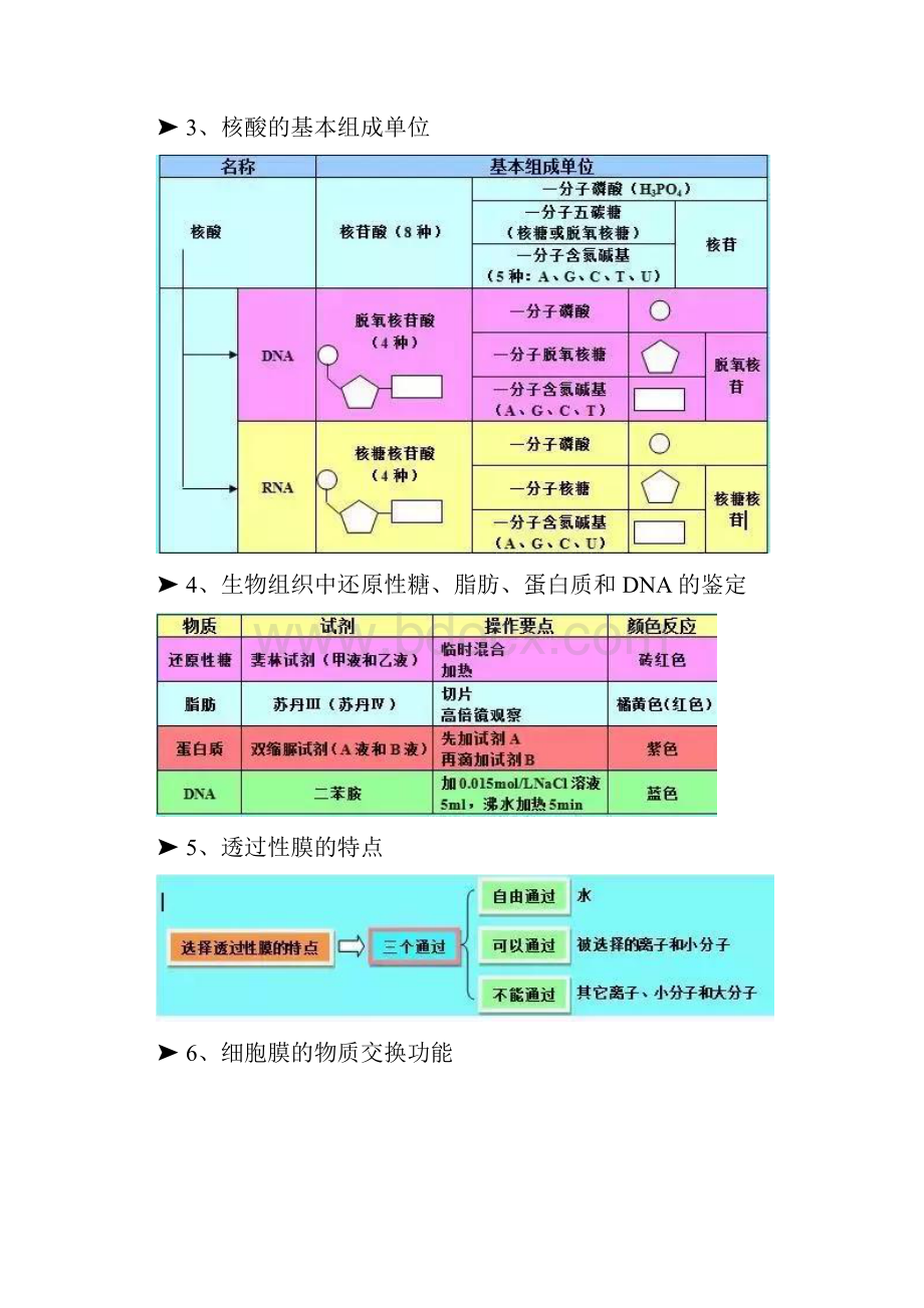 高中生物所有知识点.docx_第2页