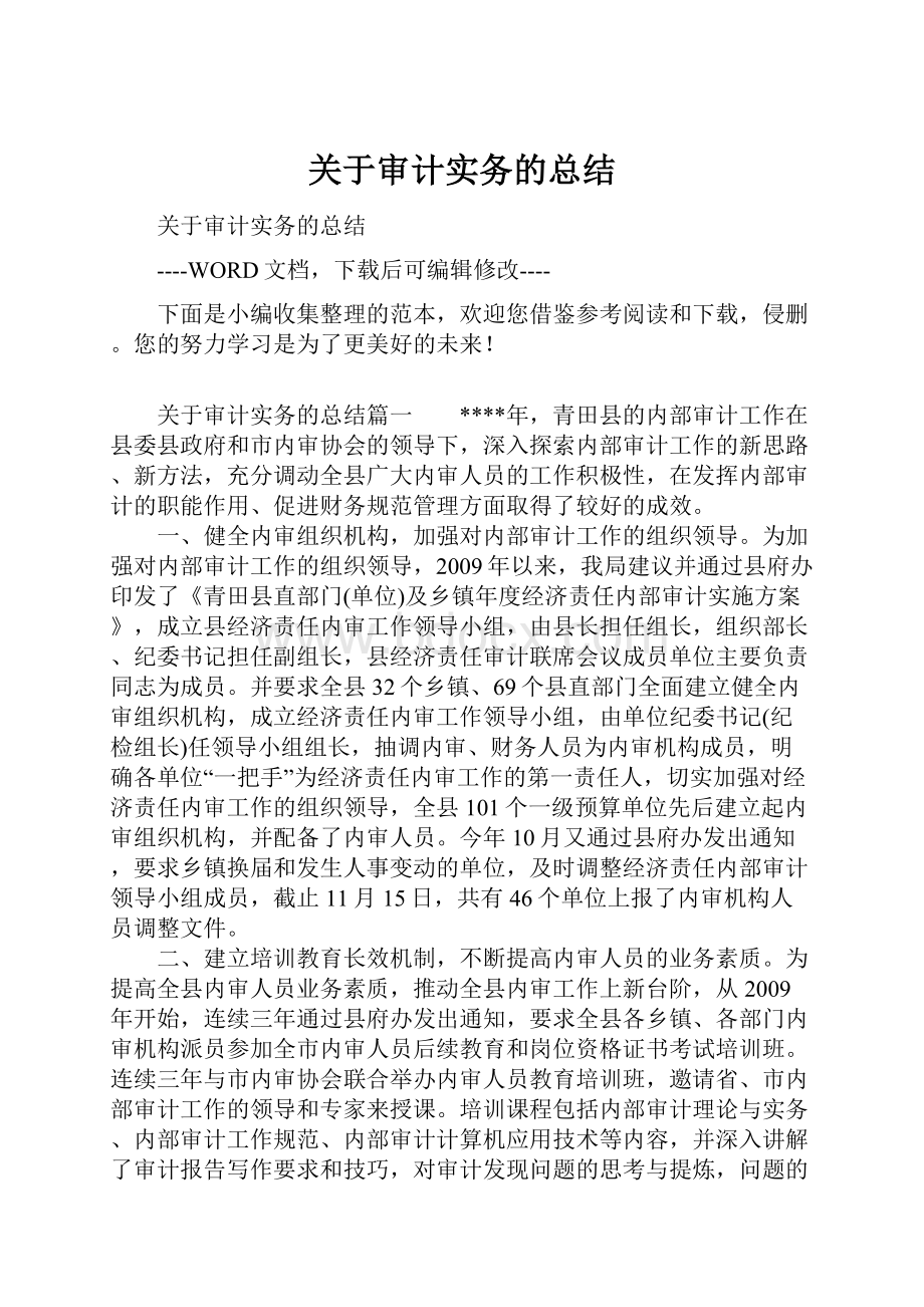 关于审计实务的总结.docx