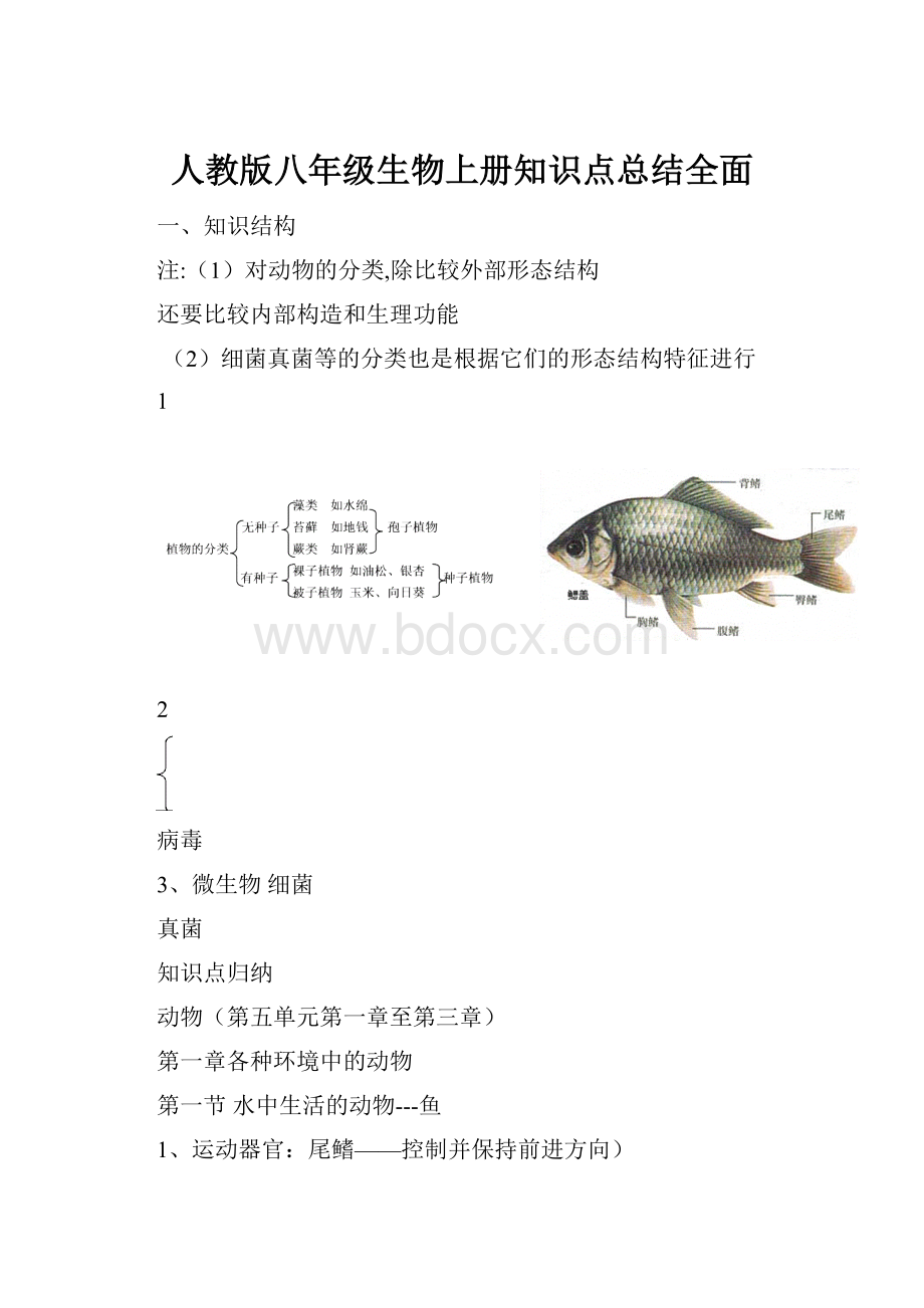 人教版八年级生物上册知识点总结全面.docx