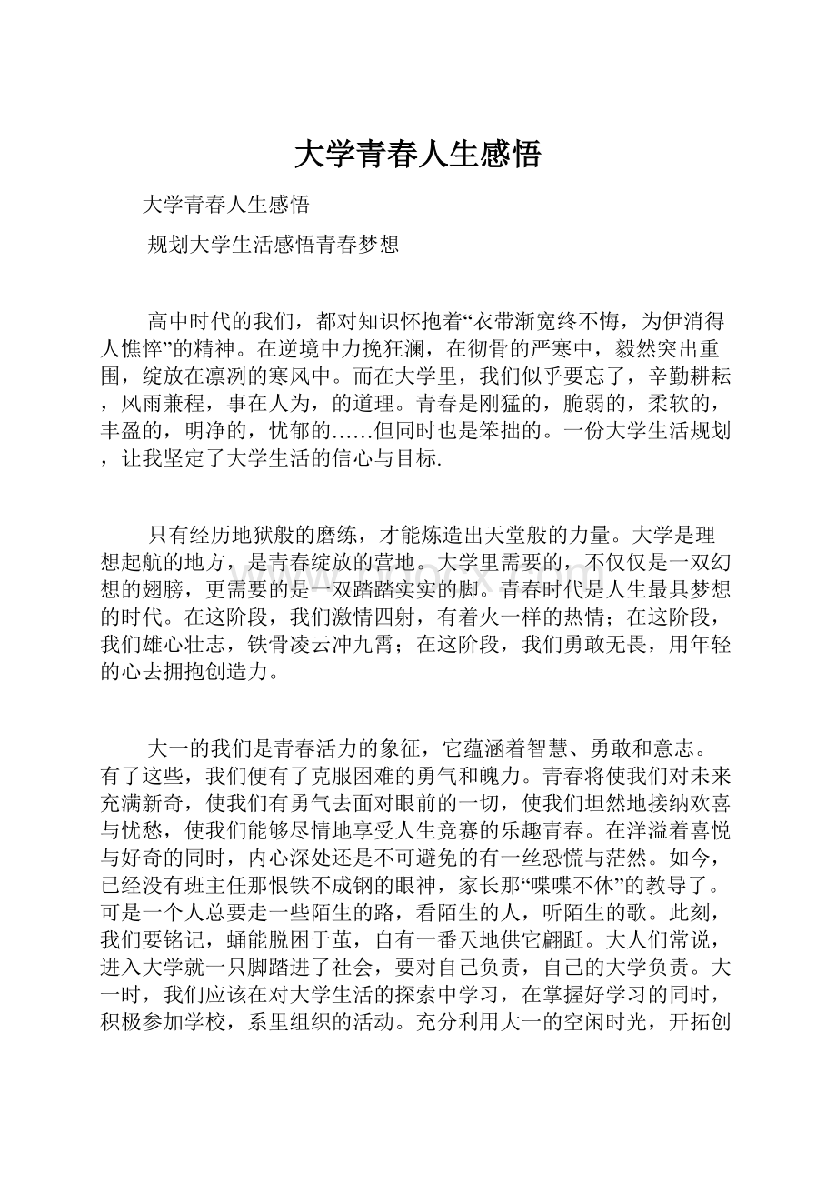 大学青春人生感悟.docx_第1页