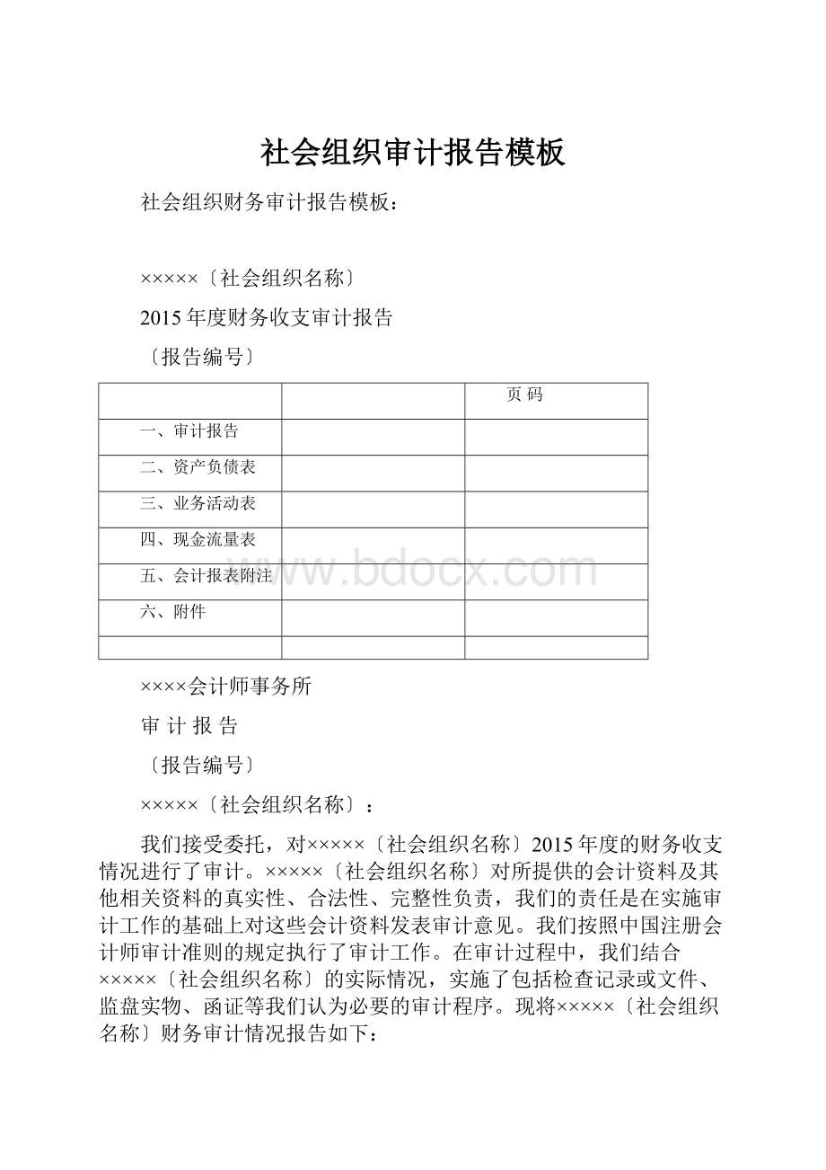 社会组织审计报告模板.docx_第1页