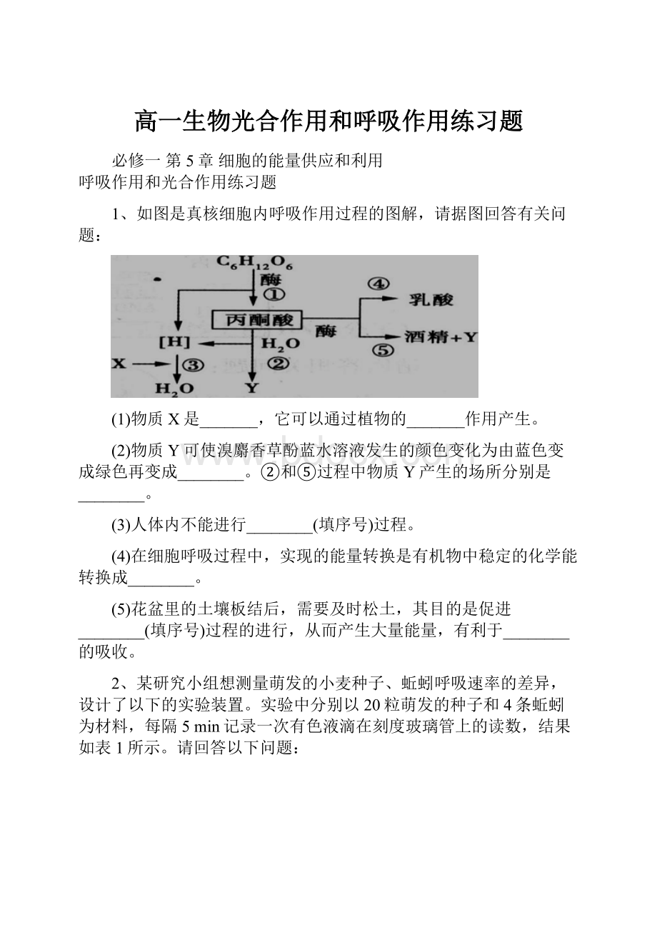 高一生物光合作用和呼吸作用练习题Word格式文档下载.docx