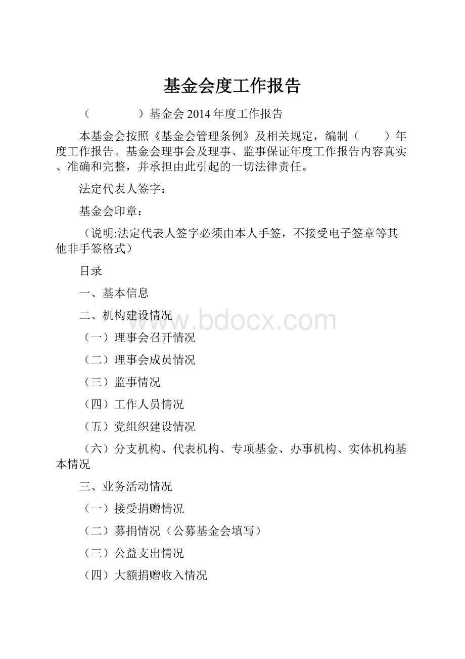 基金会度工作报告.docx