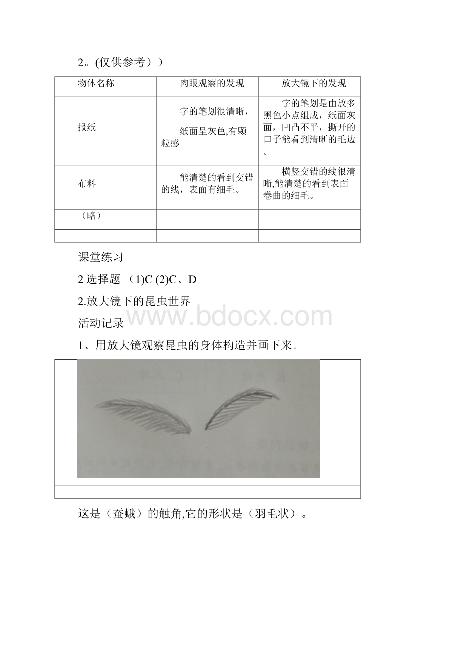 整理最新教科版科学六年级下册作业本参考答案.docx_第3页