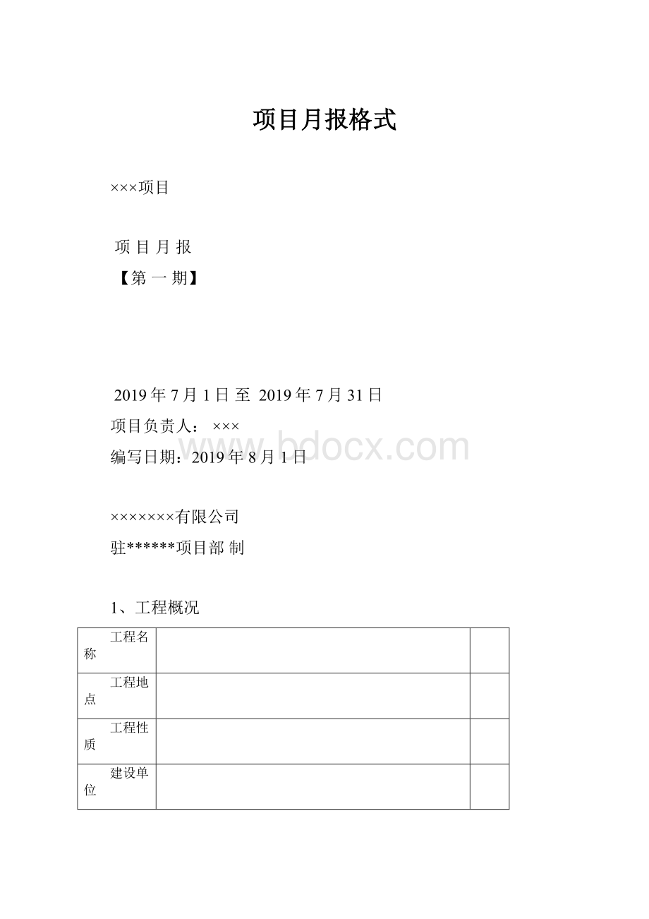 项目月报格式.docx_第1页