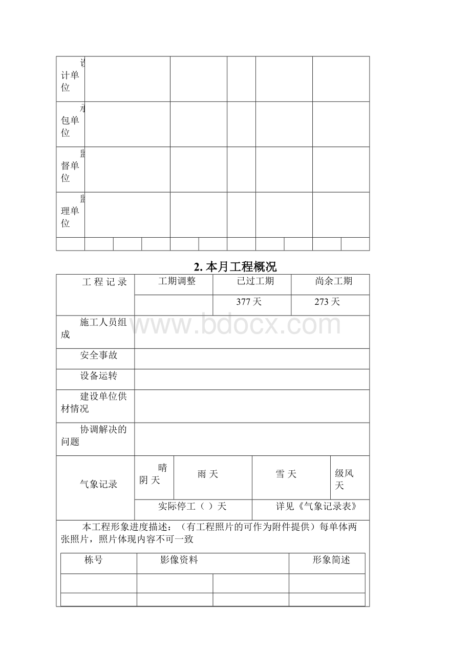 项目月报格式.docx_第3页