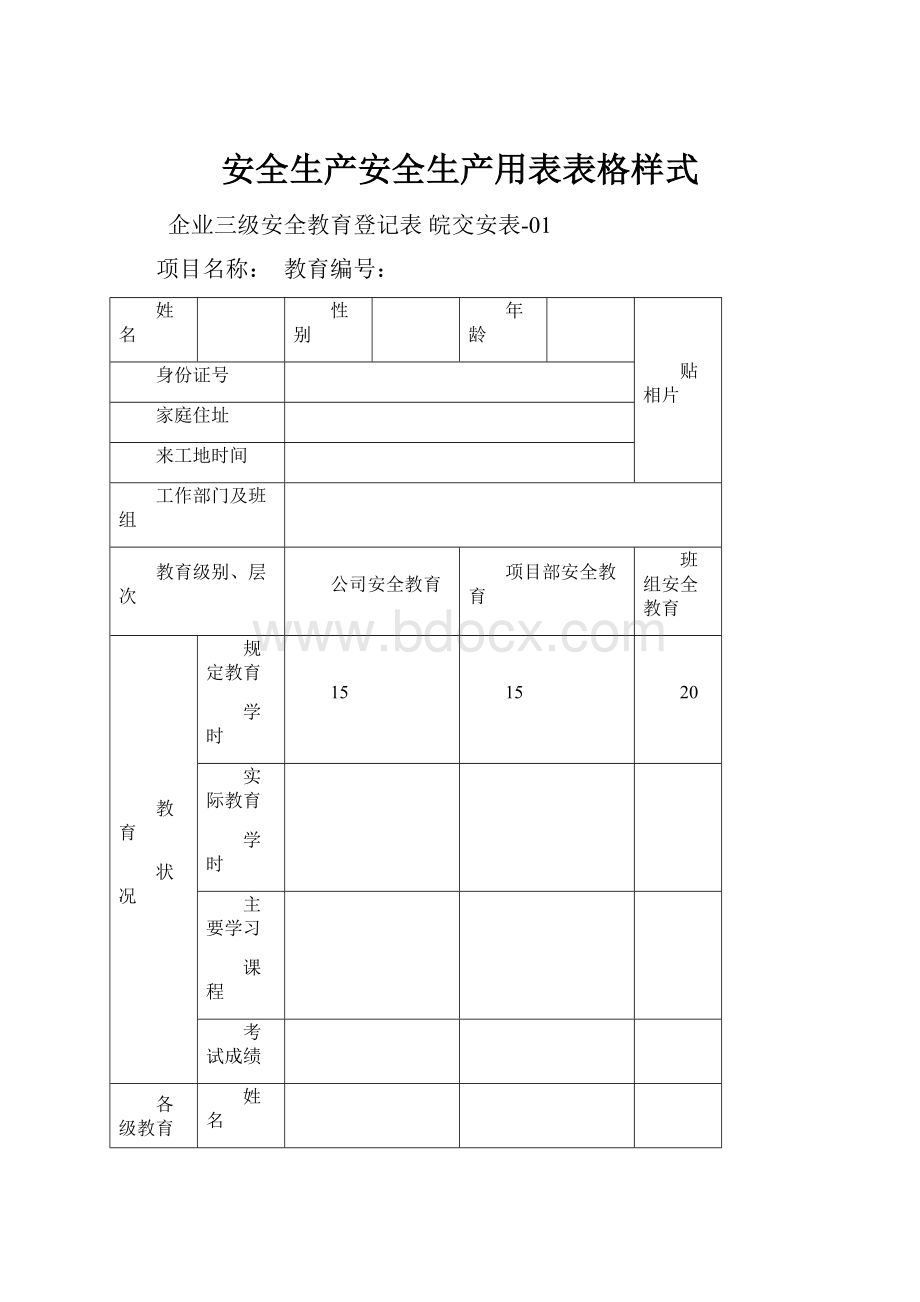 安全生产安全生产用表表格样式.docx