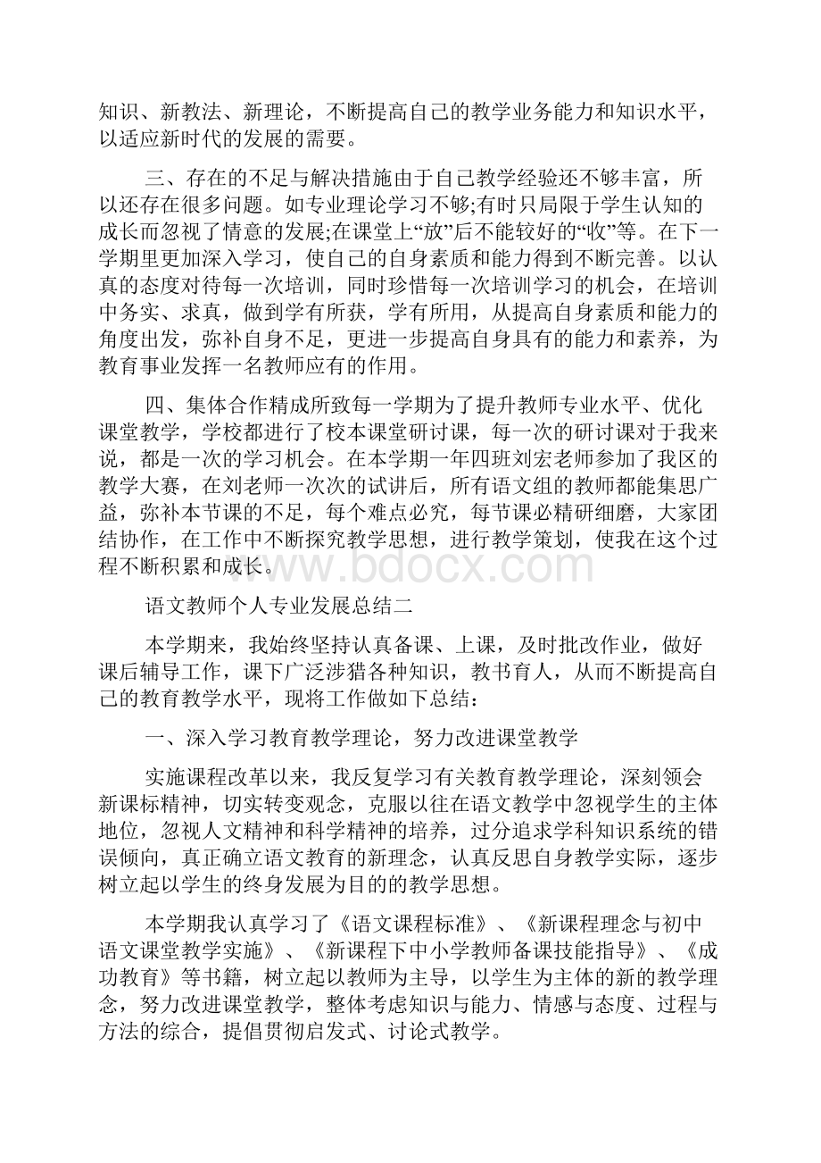 语文教师个人专业发展总结范文.docx_第2页