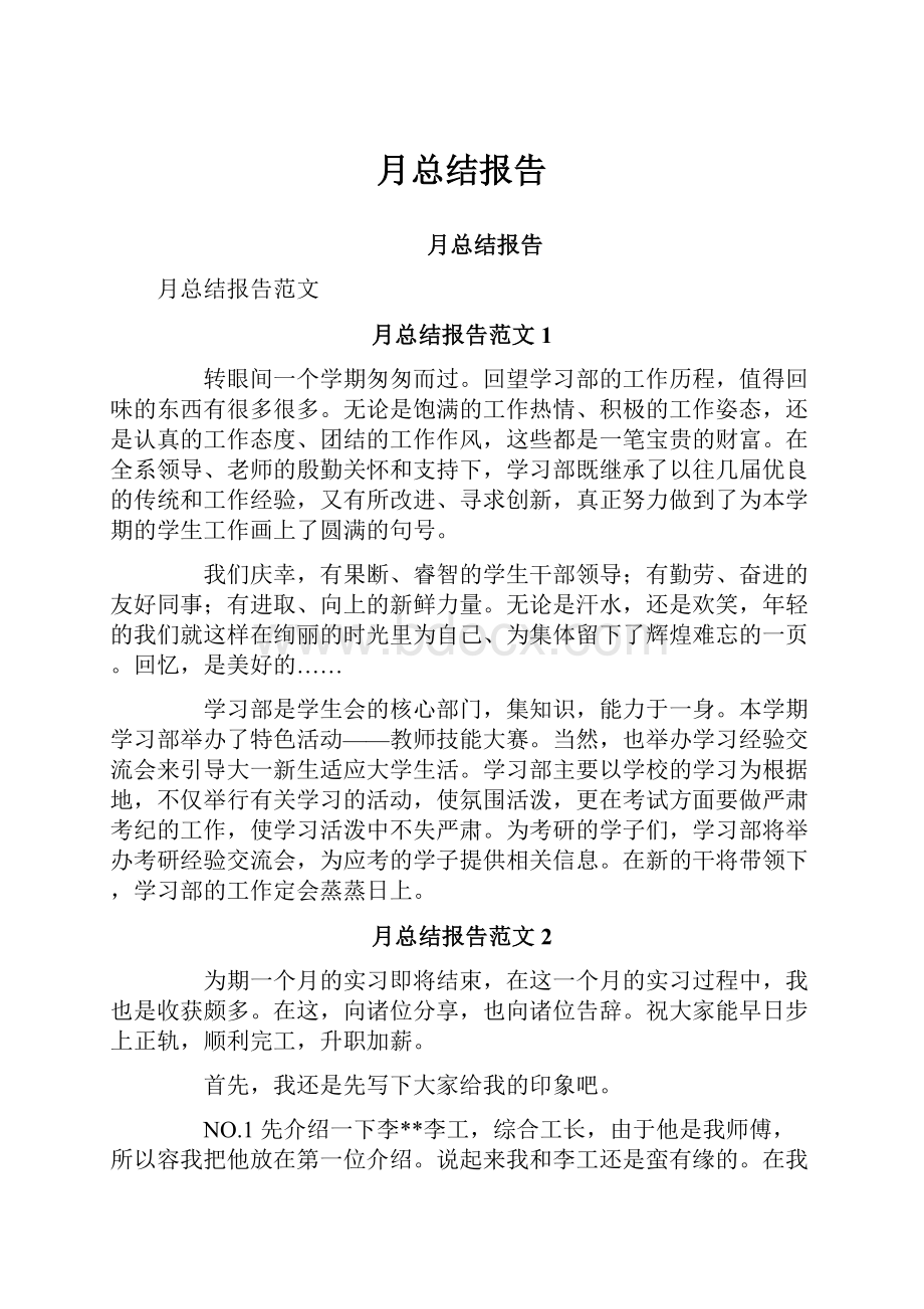 月总结报告.docx_第1页