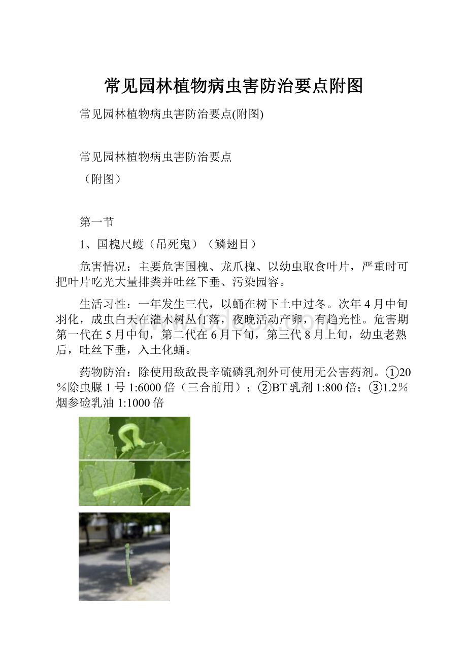 常见园林植物病虫害防治要点附图.docx