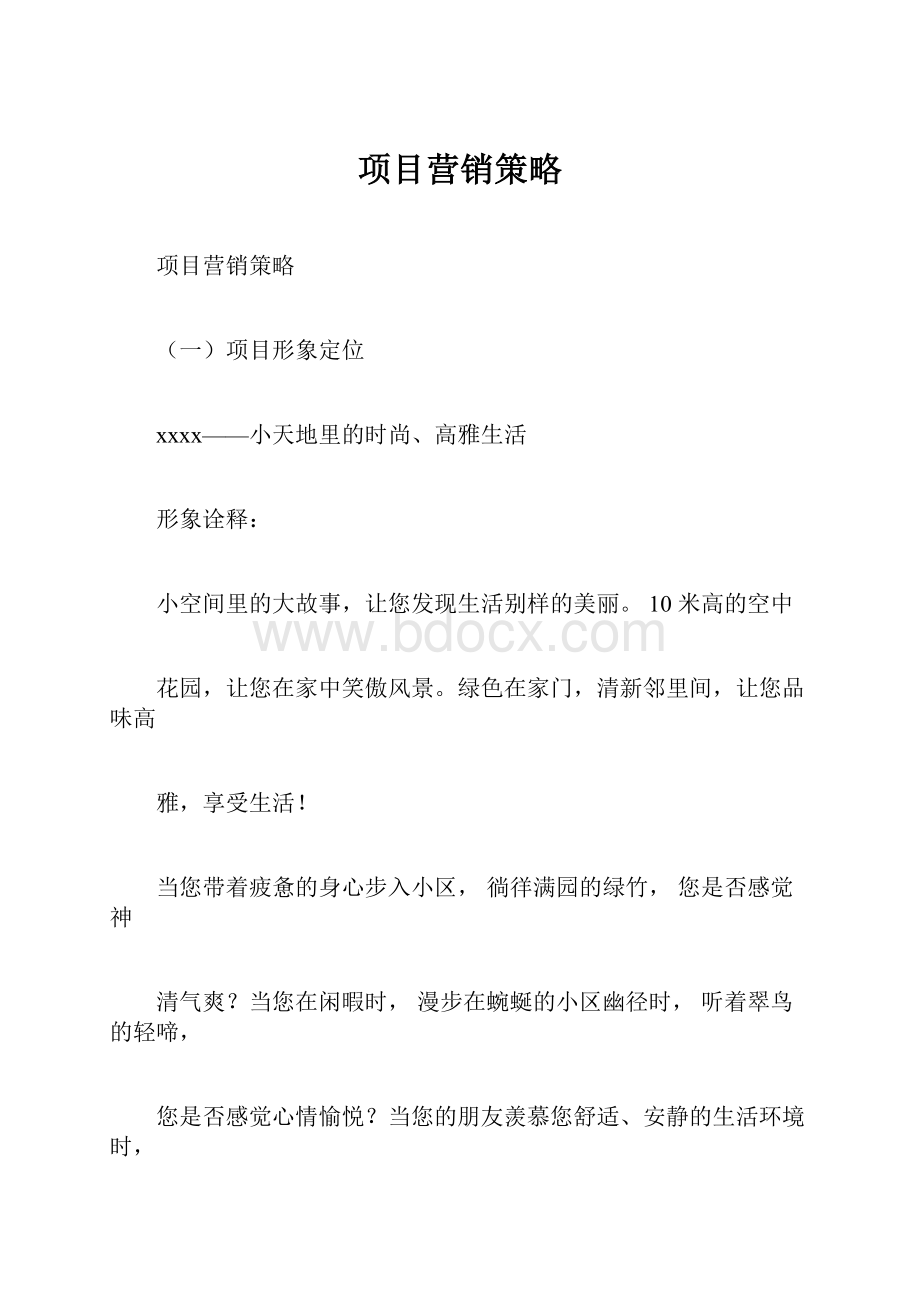 项目营销策略.docx_第1页