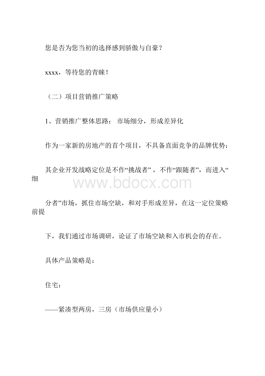 项目营销策略.docx_第2页