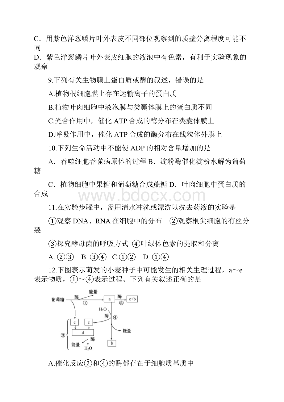 山东省邹城市届高三上学期期中考试生物试题及答案.docx_第3页