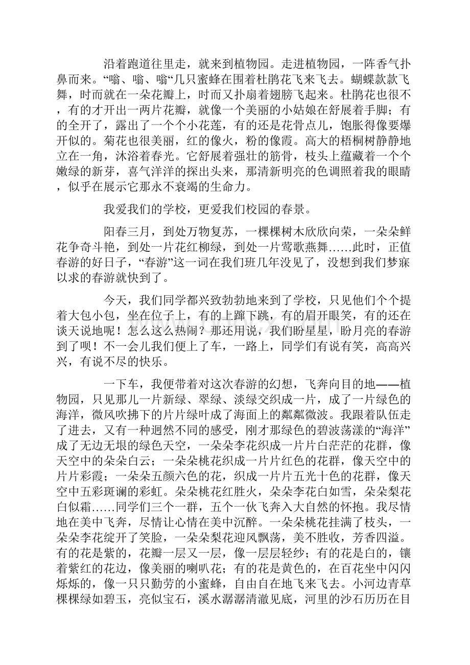 春天的作文500字10篇.docx_第3页