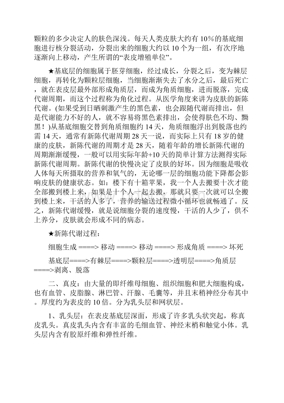 皮肤生理学最全美容院.docx_第2页