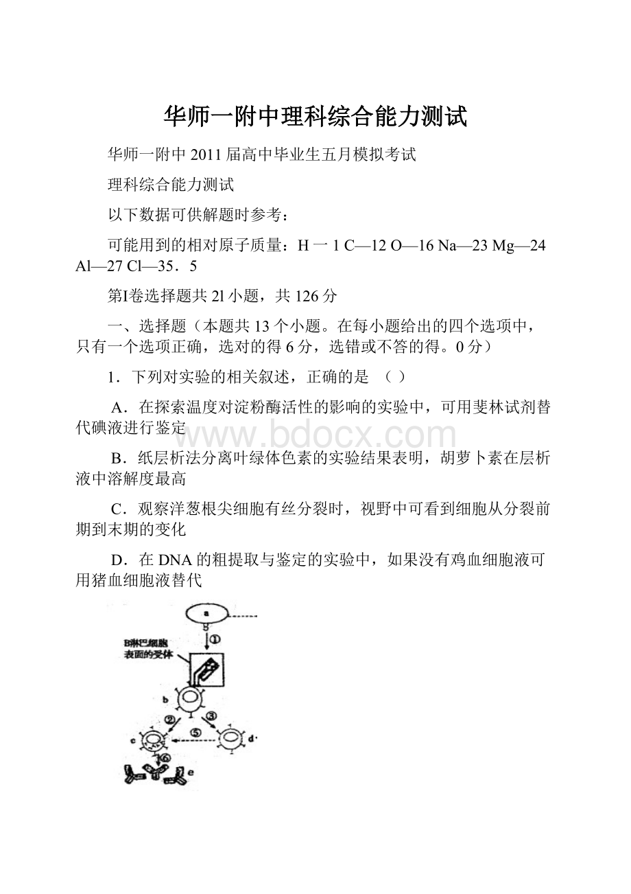 华师一附中理科综合能力测试.docx