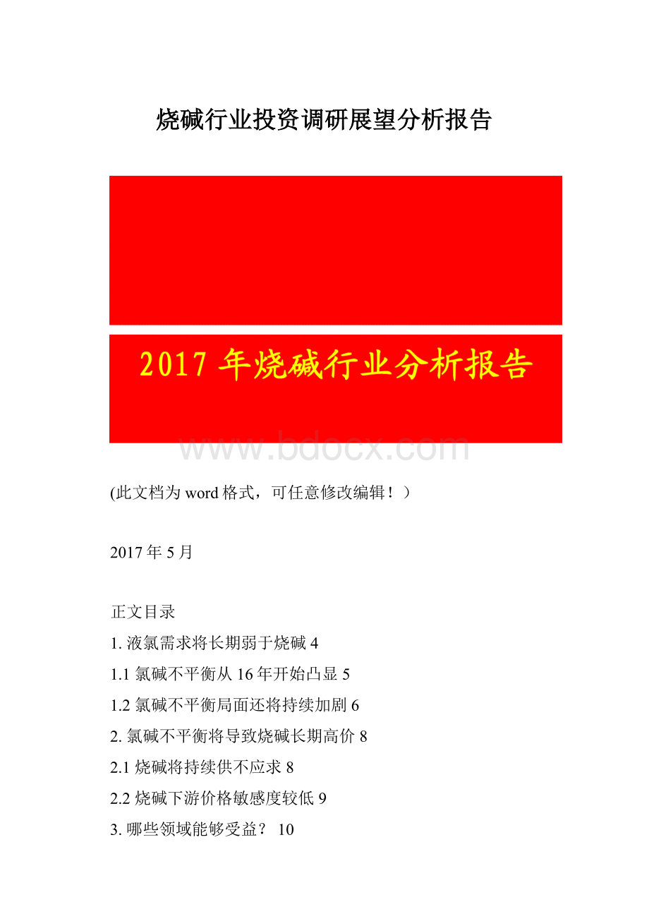 烧碱行业投资调研展望分析报告.docx_第1页