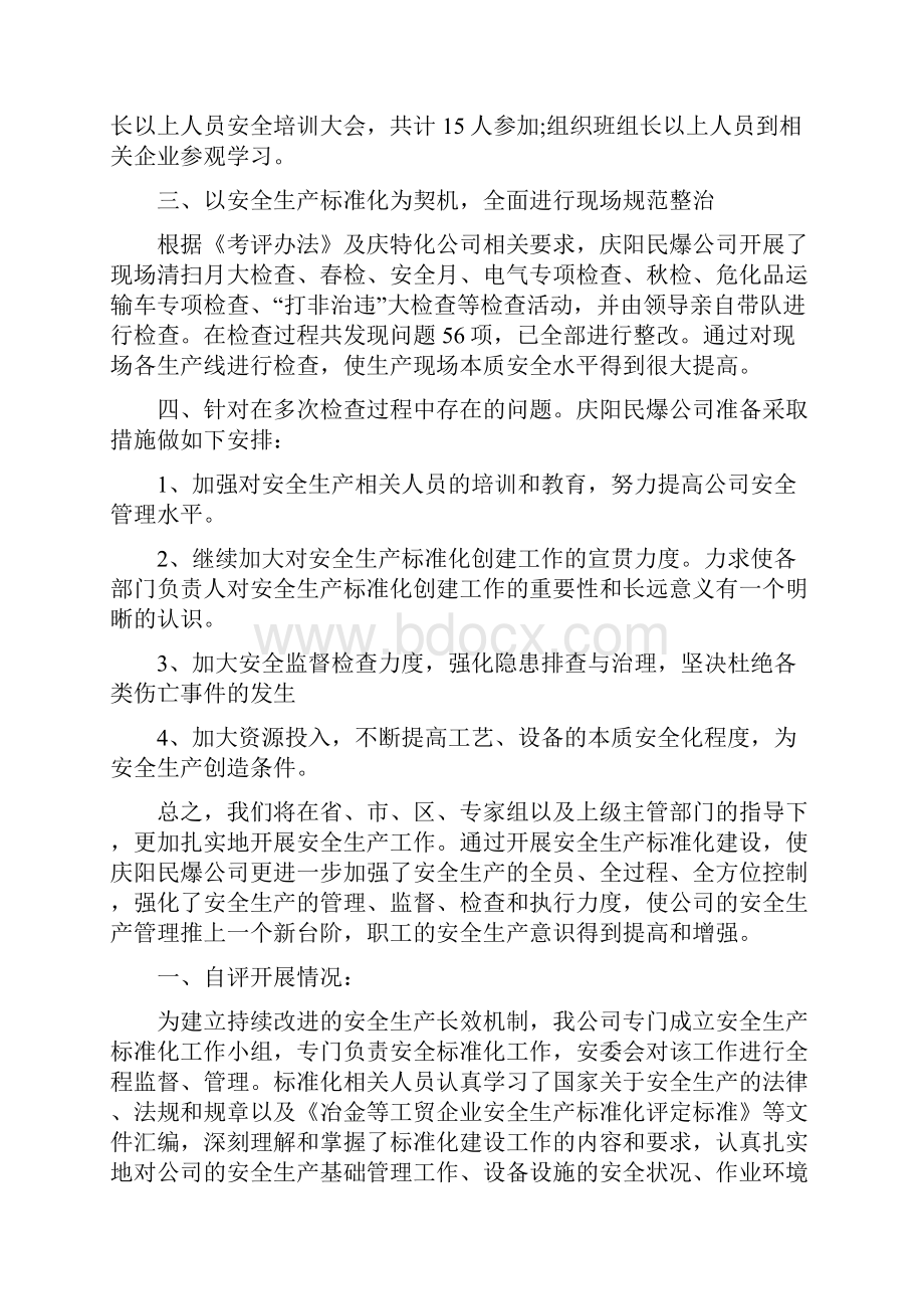 企业安全生产标准化自评报告.docx_第2页