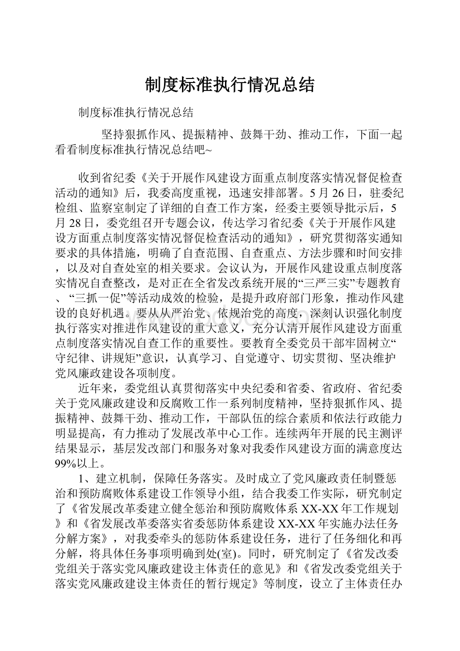 制度标准执行情况总结文档格式.docx