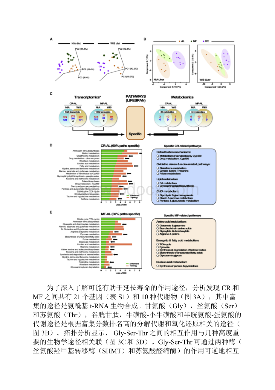 多组学揭示甘氨酸丝氨酸苏氨酸代谢轴抵抗小鼠衰老机制.docx_第3页