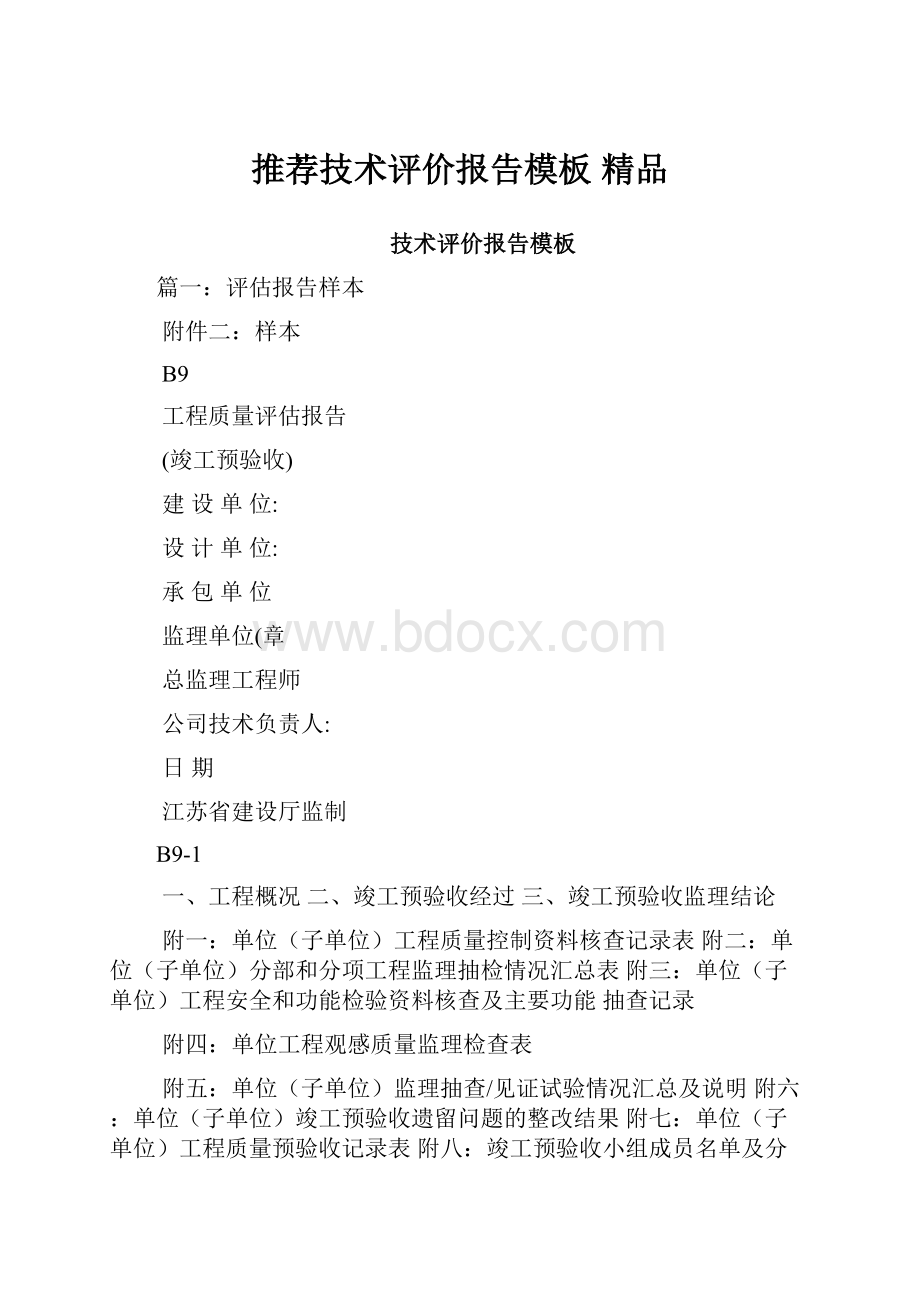 推荐技术评价报告模板 精品.docx