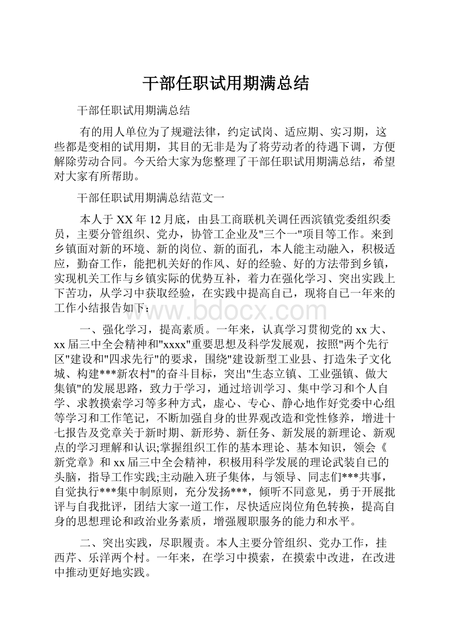 干部任职试用期满总结.docx_第1页