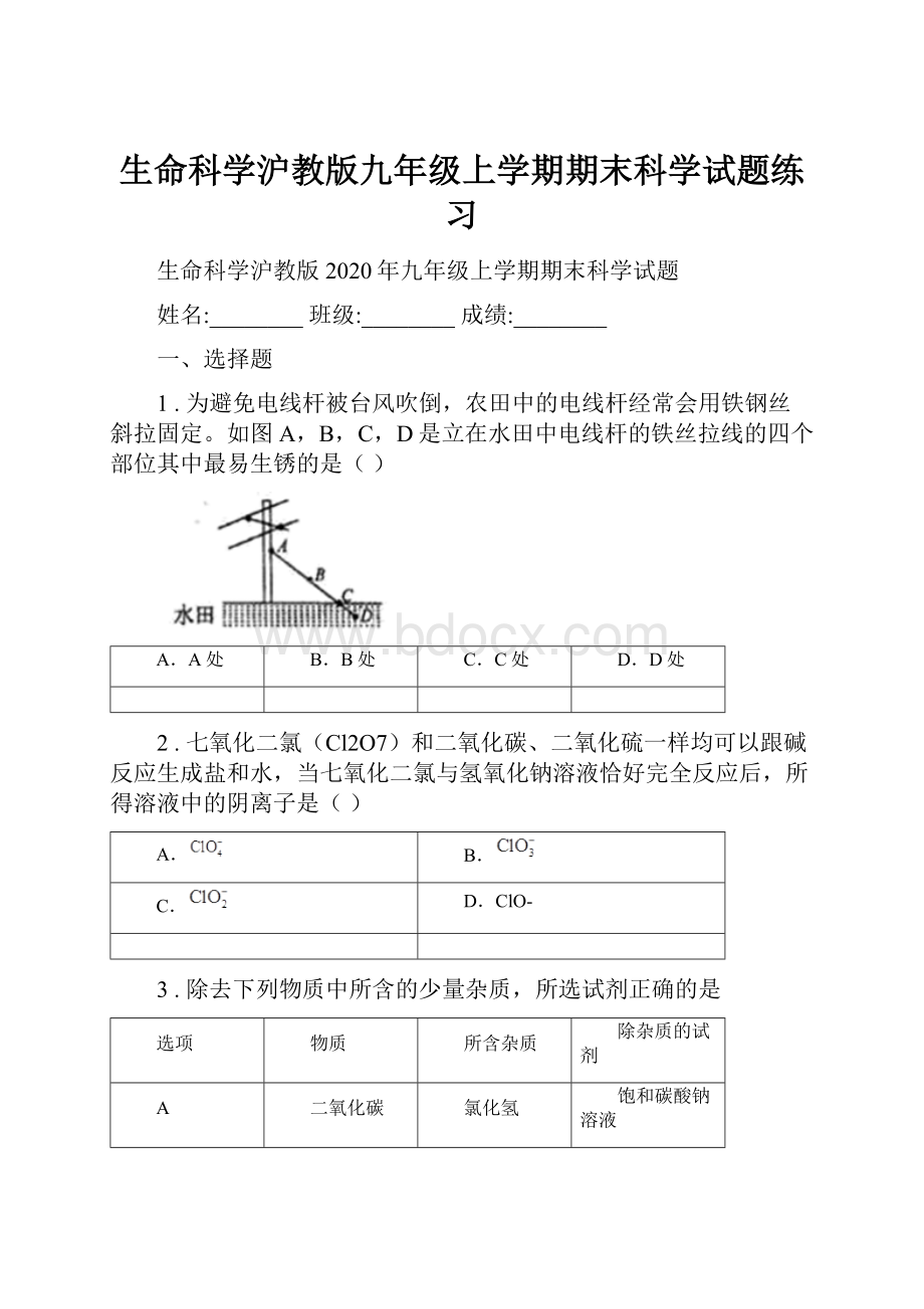 生命科学沪教版九年级上学期期末科学试题练习.docx