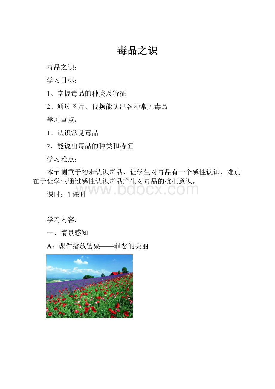 毒品之识.docx_第1页