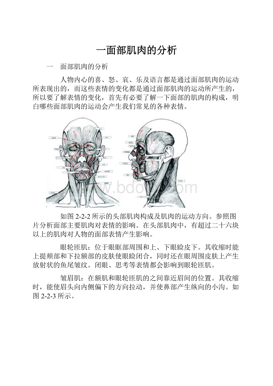 一面部肌肉的分析.docx