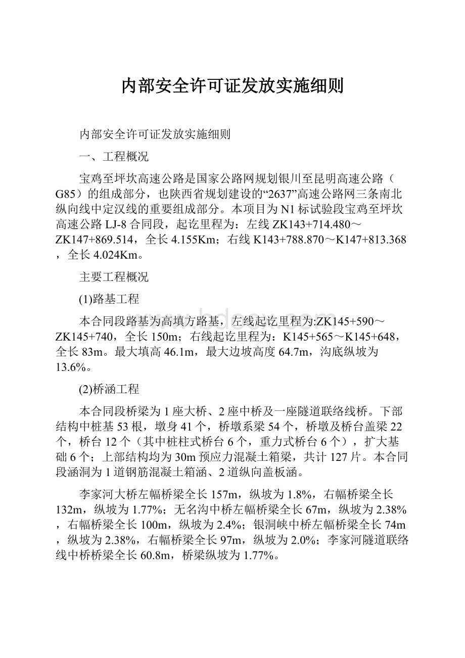 内部安全许可证发放实施细则.docx