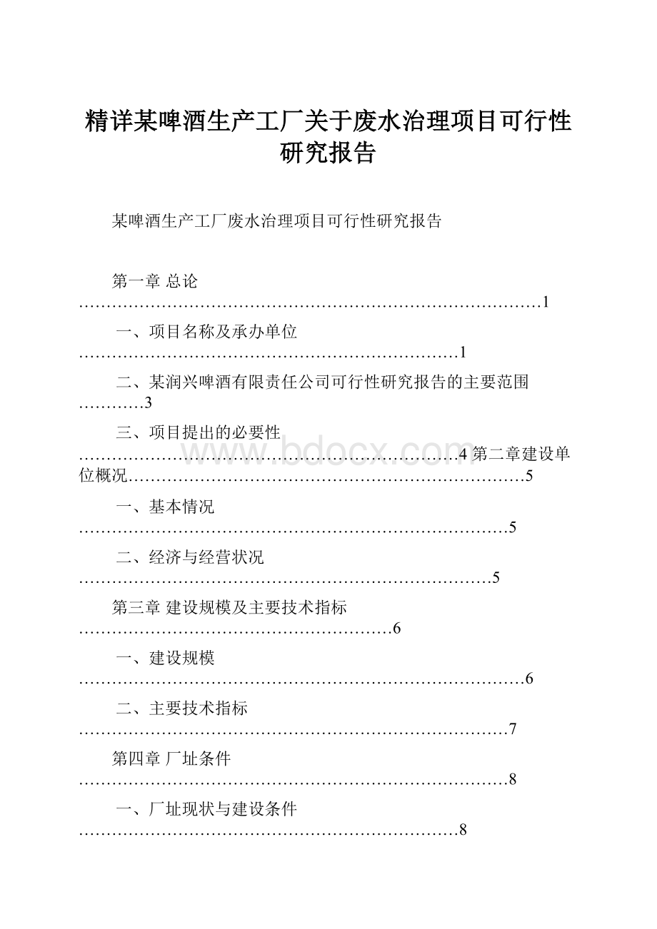 精详某啤酒生产工厂关于废水治理项目可行性研究报告.docx