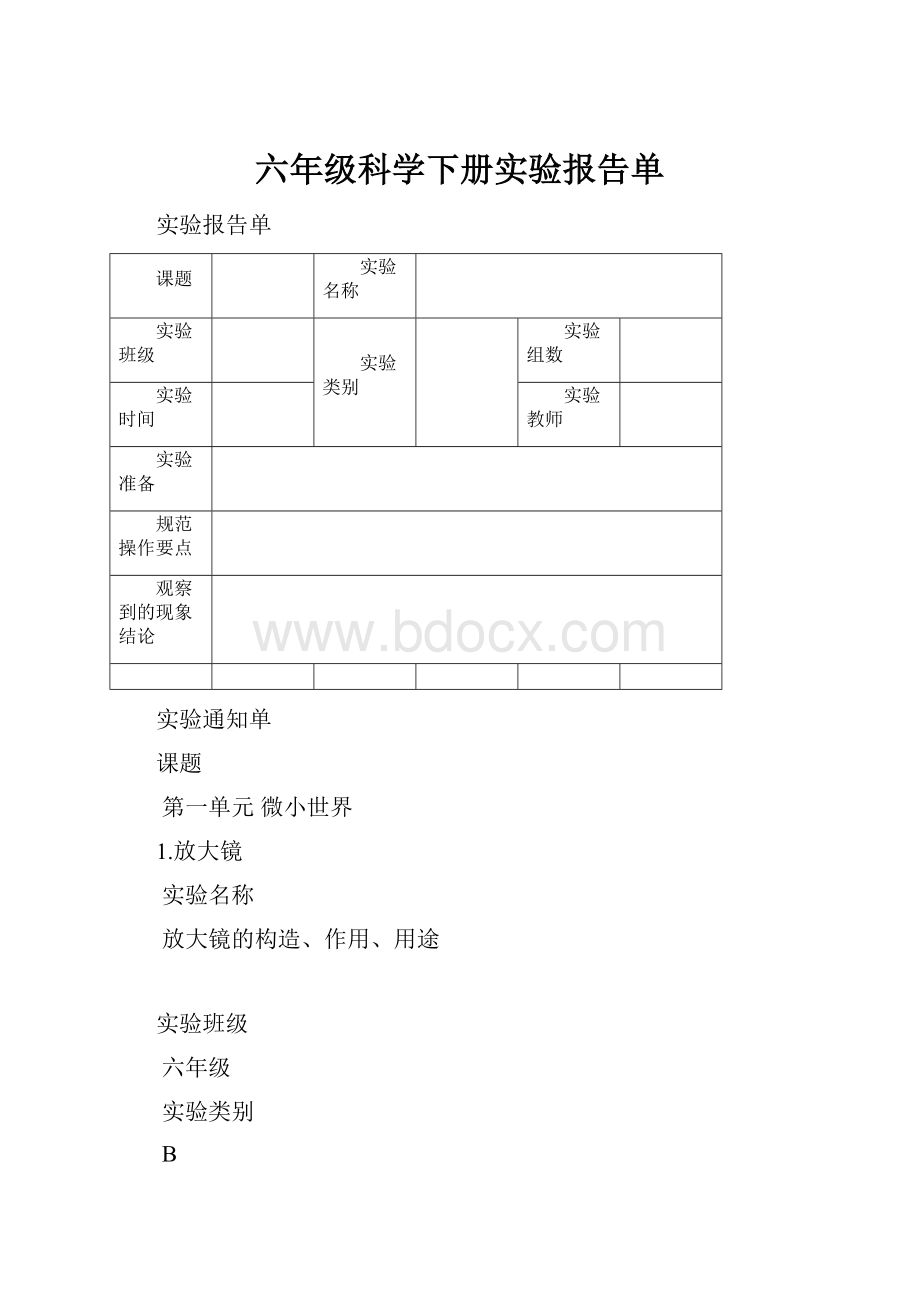 六年级科学下册实验报告单.docx_第1页