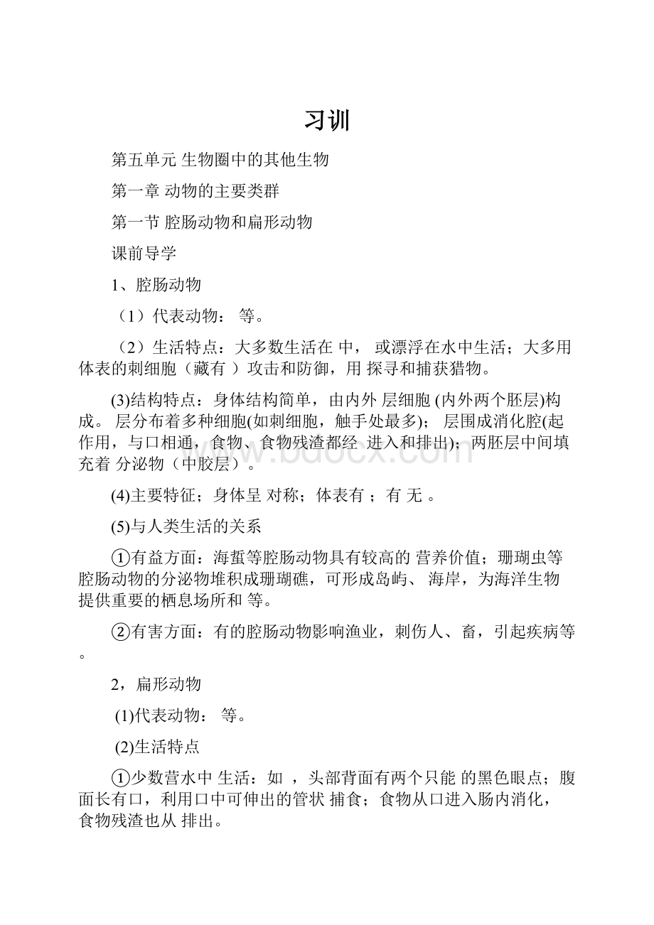 习训.docx_第1页