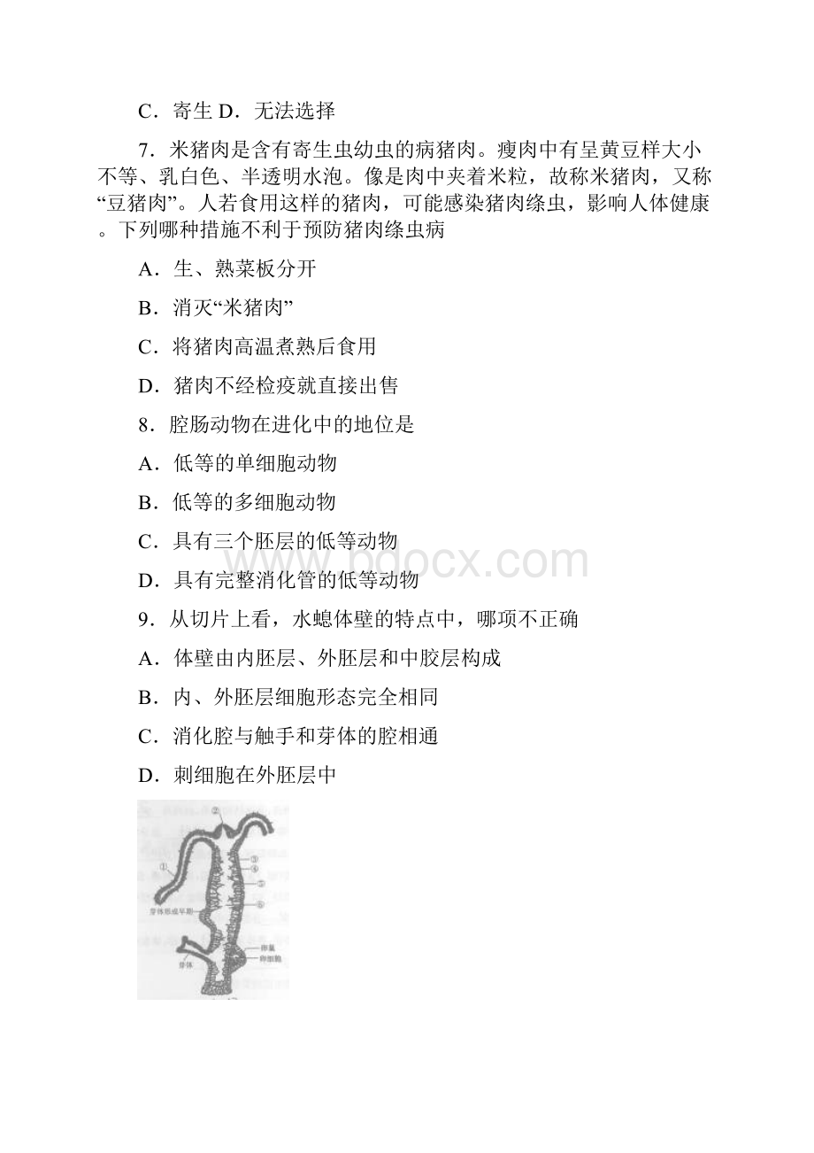 习训.docx_第3页