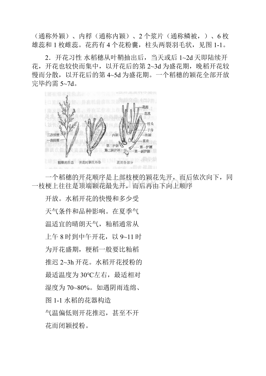 自花授粉作物杂交技术.docx_第2页