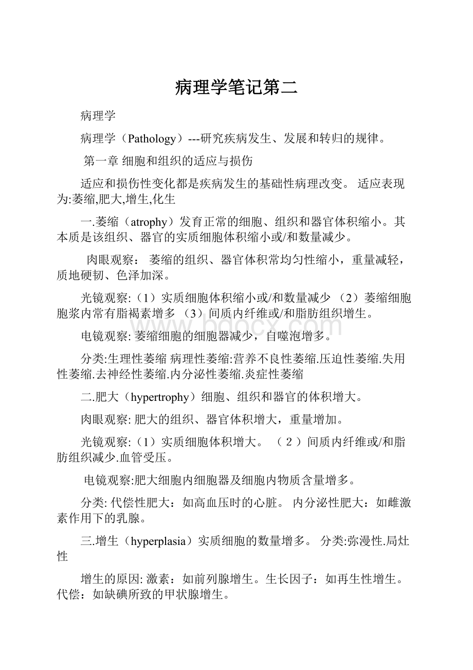 病理学笔记第二Word格式文档下载.docx