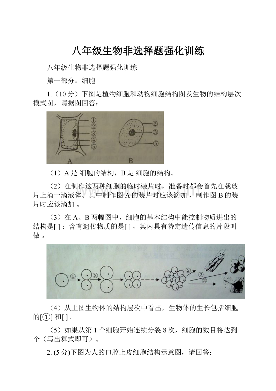 八年级生物非选择题强化训练.docx_第1页