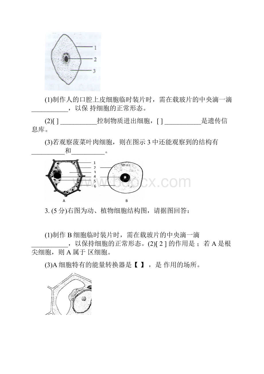 八年级生物非选择题强化训练.docx_第2页